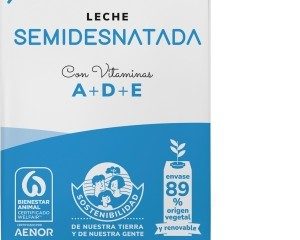 Leche semi 1L