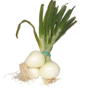 Cebollas tiernas