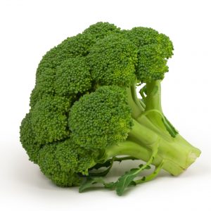Brécol